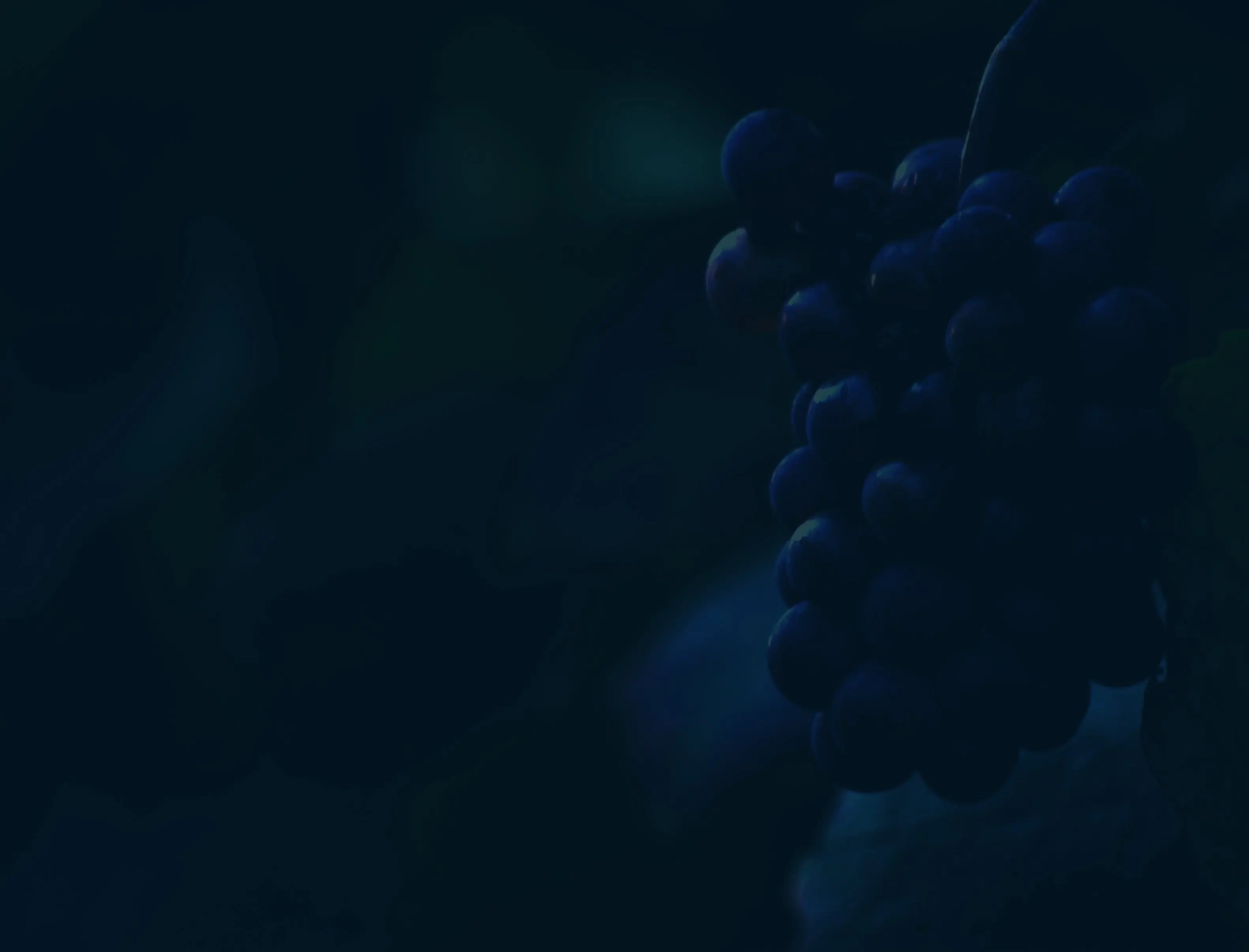 Mazis Chambertin Grand Cru