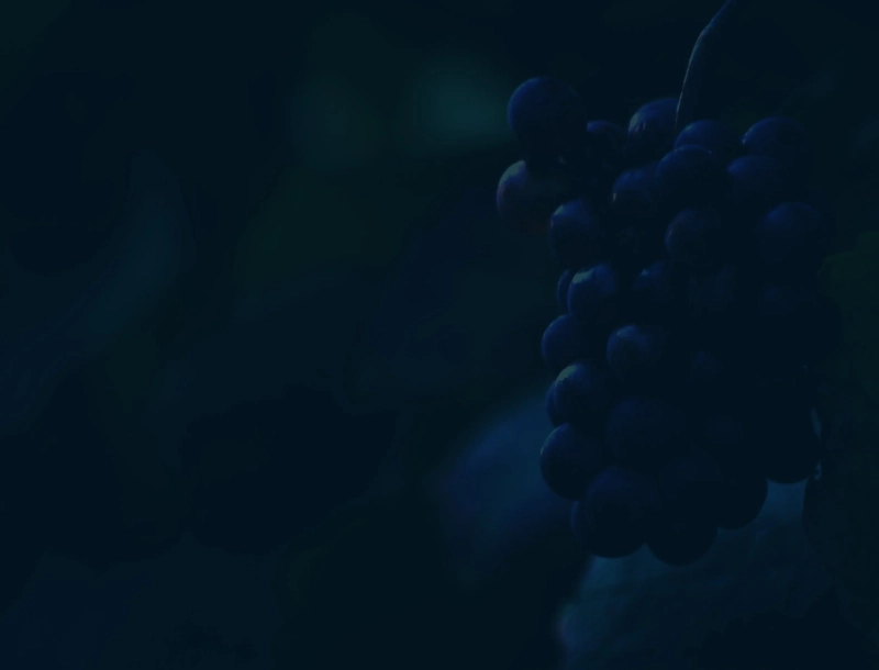 Mazis Chambertin Grand Cru